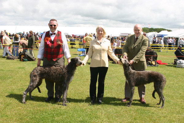 Best Puppies Blackpool 2007